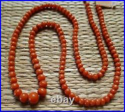 Ancien Rang Perle Corail Pas Collier Bijou Antique Orange Coral Bead No Necklace