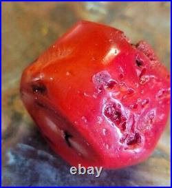 ÉNORME perle perlée ancienne ancienne vintage antique corail rouge naturel 25,8 g